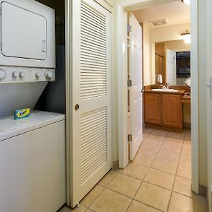 Apartament z 1 sypialnią